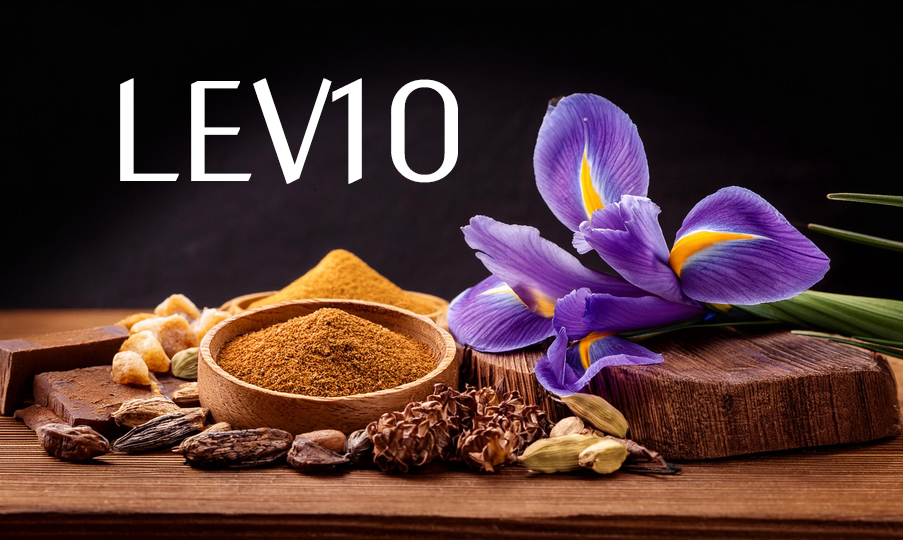 LEV10 Erkek Parfümü EDP 100 ML